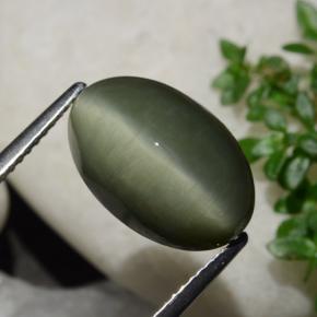 6.44 карата, натуральный Землисто-зеленый Кварц Кошачий глаз, Огранка Овал, Непрозрачный