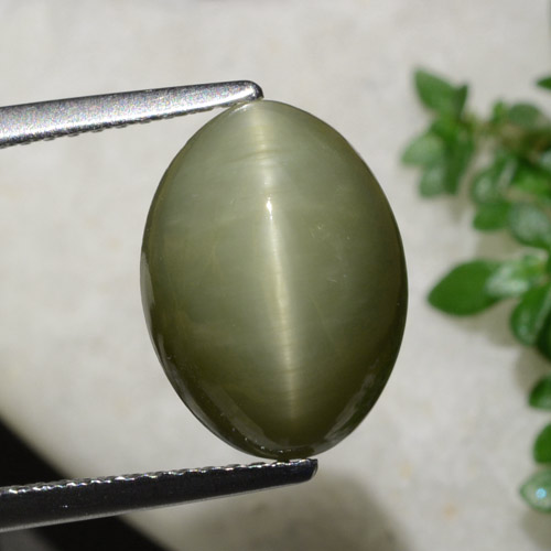 Натуральный теплый зеленый кварц кошачий глаз 6,21 карата огранка овал, непрозрачный