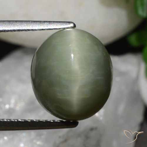 6.79ct Натуральный Землисто-зеленый Кварц Кошачий Глаз, Овал, Непрозрачный