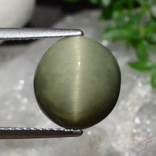 5.58ct Натуральный Армейский Зеленый Кварц Кошачий Глаз, Овал, Непрозрачный