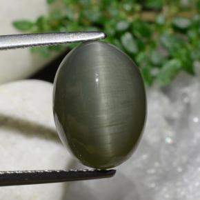 6.97 карата, натуральный Землисто-зеленый Кварц Кошачий глаз, Огранка Овал, Непрозрачный