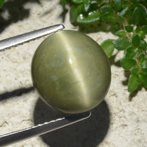 6.19 карата, натуральный Теплый зеленый Кварц Кошачий глаз, Огранка Овал, Непрозрачный