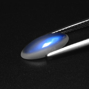 1.72 карата, натуральный Сине-белый Радужный лунный камень, Прозрачный, Полупрозрачный
