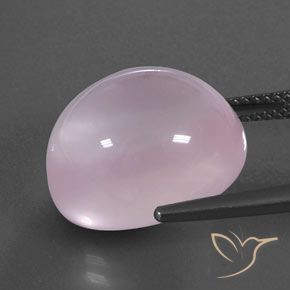 16.85 карата, натуральный Жевательная резинка розовый Розовый кварц, Прозрачный, Полупрозрачный