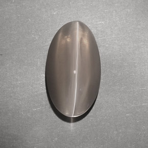 Натуральный коричневый sillimanite cat's eye 7,02 карата прозрачный, полупрозрачный