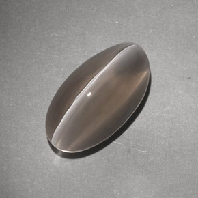 Натуральный коричневый sillimanite cat's eye 7,02 карата прозрачный, полупрозрачный