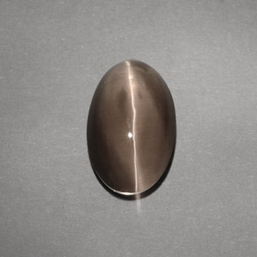 Натуральный коричневый sillimanite cat's eye 4,88 карата прозрачный, полупрозрачный