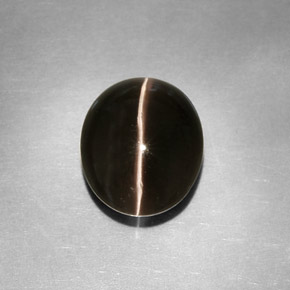 Натуральный серый sillimanite cat's eye 4,11 карата прозрачный, полупрозрачный