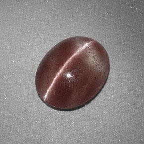 Натуральный коричневый sillimanite cat's eye 1,60 карата огранка овал, полупрозрачный