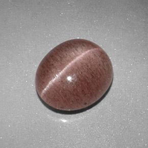 Натуральный коричневый sillimanite cat's eye 2,04 карата огранка овал, полупрозрачный