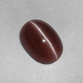 Натуральный коричневый sillimanite cat's eye 2,05 карата огранка овал, непрозрачный