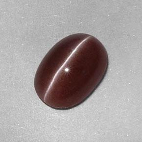 Натуральный коричневый sillimanite cat's eye 2,05 карата огранка овал, непрозрачный