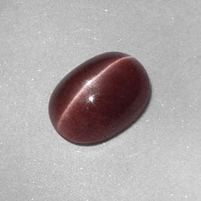 Натуральный коричневый sillimanite cat's eye 1,58 карата огранка овал, непрозрачный