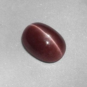 Натуральный коричневый sillimanite cat's eye 1,58 карата огранка овал, непрозрачный