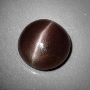 Натуральный коричневый sillimanite cat's eye 6,99 карата огранка круг, непрозрачный