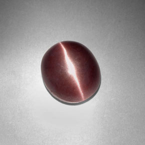 Натуральный коричневый sillimanite cat's eye 3,29 карата огранка овал, непрозрачный