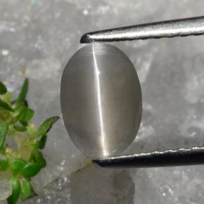1.23 карата, натуральный Серовато-коричневый Силлиманит Кошачий глаз, Огранка Овал, Полупрозрачный