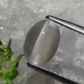 1.23 карата, натуральный Серовато-коричневый Силлиманит Кошачий глаз, Огранка Овал, Полупрозрачный