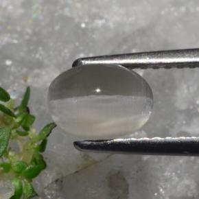 1.23 карата, натуральный Серовато-коричневый Силлиманит Кошачий глаз, Огранка Овал, Полупрозрачный