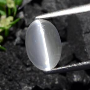 1.40 карата, натуральный Серовато-коричневый Силлиманит Кошачий глаз, Огранка Овал, Прозрачный