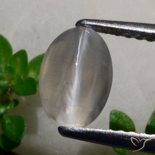 1.65ct Натуральный Очень светло-серый Силлиманит Кошачий Глаз, Овал, Полупрозрачный