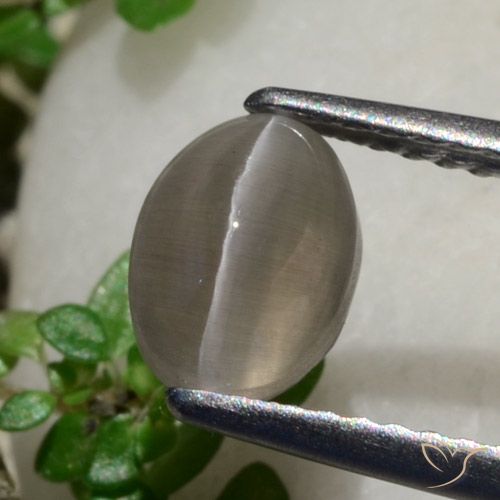 1.80ct Натуральный Арахисовый коричневый Силлиманит Кошачий Глаз, Овал, Полупрозрачный
