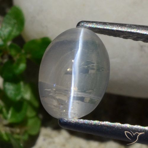 1.42ct Натуральный Очень светло-серый Силлиманит Кошачий Глаз, Овал, Прозрачный