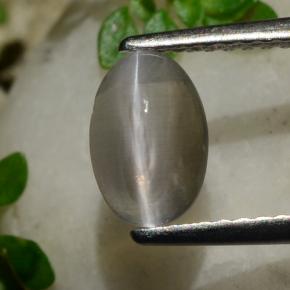 1.20 карата, натуральный Дымчатый Силлиманит Кошачий глаз, Огранка Овал, Прозрачный