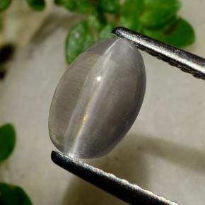 1.20 карата, натуральный Дымчатый Силлиманит Кошачий глаз, Огранка Овал, Прозрачный