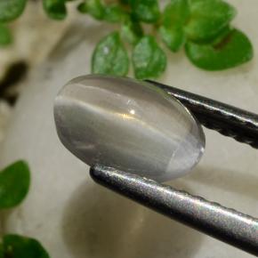 1.20 карата, натуральный Дымчатый Силлиманит Кошачий глаз, Огранка Овал, Прозрачный