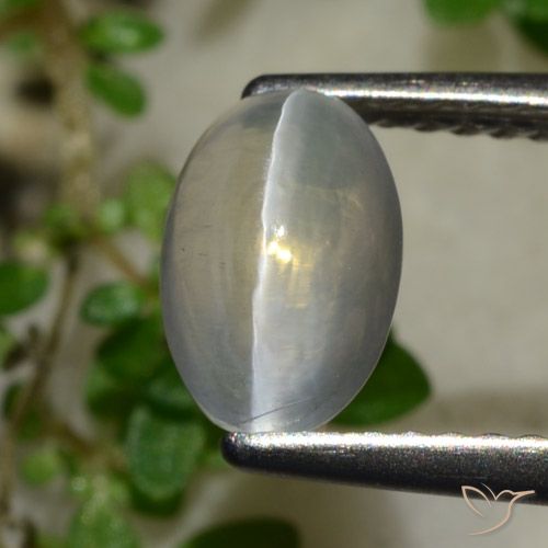 1.65ct Натуральный Очень светло-серый Силлиманит Кошачий Глаз, Овал, Прозрачный