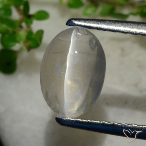 1.40ct Натуральный Очень светло-серый Силлиманит Кошачий Глаз, Овал, Прозрачный