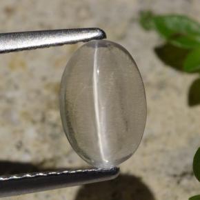 1.45 карата, натуральный Дымчатый Силлиманит Кошачий глаз, Огранка Овал, Прозрачный