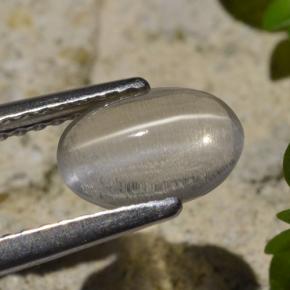 1.45 карата, натуральный Дымчатый Силлиманит Кошачий глаз, Огранка Овал, Прозрачный