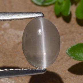 1.29 карата, натуральный Дымчатый Силлиманит Кошачий глаз, Огранка Овал, Прозрачный