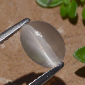 1.29 карата, натуральный Дымчатый Силлиманит Кошачий глаз, Огранка Овал, Прозрачный