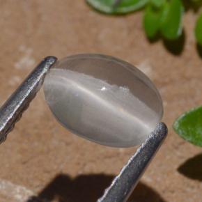 1.29 карата, натуральный Дымчатый Силлиманит Кошачий глаз, Огранка Овал, Прозрачный