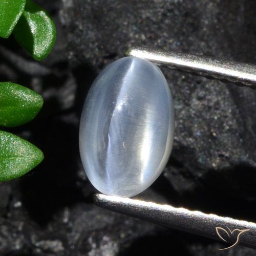 1.70ct Натуральный ясно Силлиманит Кошачий Глаз, Овал, Прозрачный
