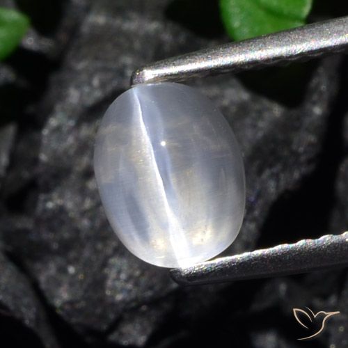 1.61ct Натуральный ясно Силлиманит Кошачий Глаз, Овал, Прозрачный