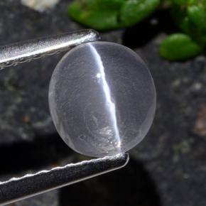Натуральный серый sillimanite cat's eye 1,03 карата огранка овал, прозрачный