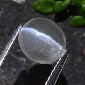 Натуральный серый sillimanite cat's eye 1,03 карата огранка овал, прозрачный
