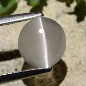 1.59 карата, натуральный Дымчатый Силлиманит Кошачий глаз, Огранка Круг, Прозрачный