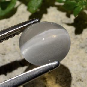 1.59 карата, натуральный Дымчатый Силлиманит Кошачий глаз, Огранка Круг, Прозрачный