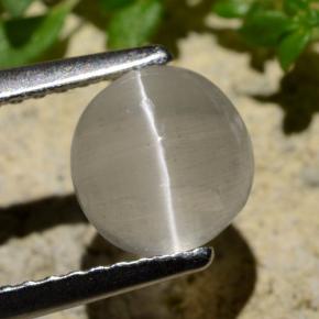 1.34 карата, натуральный Дымчатый Силлиманит Кошачий глаз, Огранка Круг, Прозрачный