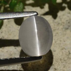 1.57 карата, натуральный Дымчатый Силлиманит Кошачий глаз, Огранка Овал, Прозрачный