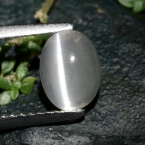 Натуральный серый sillimanite cat's eye 1,39 карата огранка овал, прозрачный