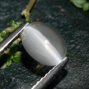 Натуральный серый sillimanite cat's eye 1,39 карата огранка овал, прозрачный