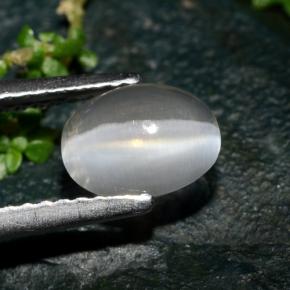 Натуральный серый sillimanite cat's eye 1,39 карата огранка овал, прозрачный