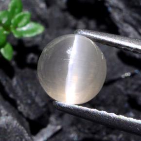 Натуральный серый sillimanite cat's eye 1,74 карата огранка круг, полупрозрачный