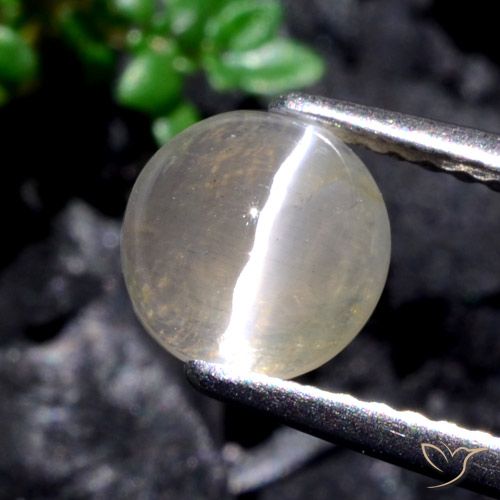 1.53ct Натуральный Теплый белый Силлиманит Кошачий Глаз, Круглый, Полупрозрачный